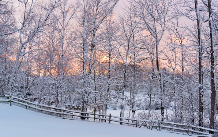 Karen Ptashnik photo 13