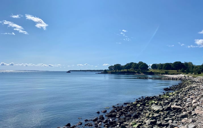 Dawn Cullity photo 1