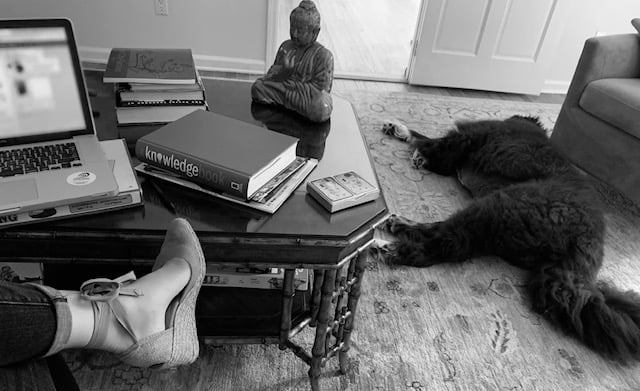 Deirdre McCloud Childs photo 9