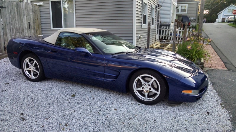 Diane Garner photo 2