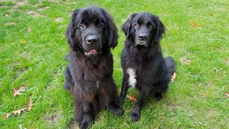 Lauren Weber photo 4