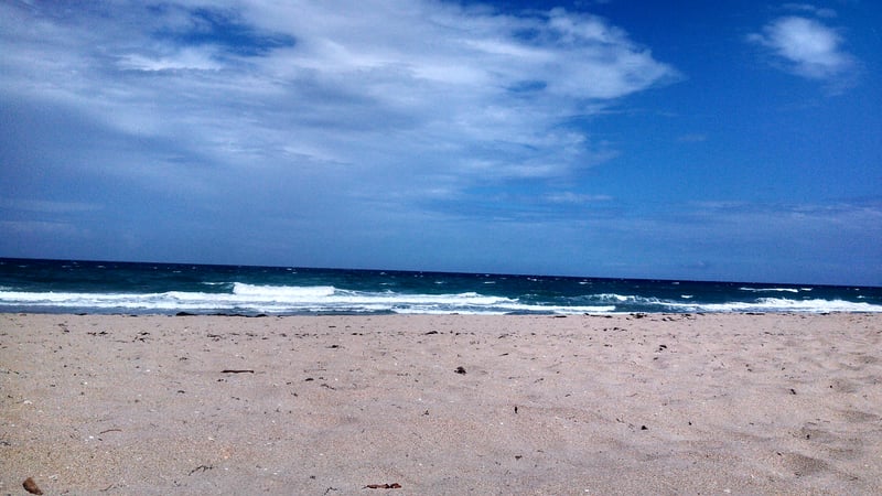 Jonathan Hall photo 1