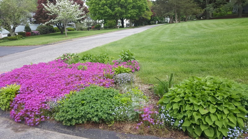 Mary Guertin photo 1