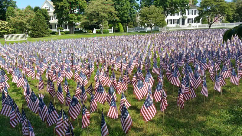 Carol Langeland photo 7