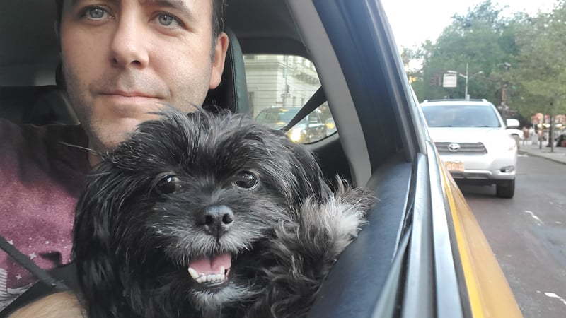 Michael McGuirk photo 14