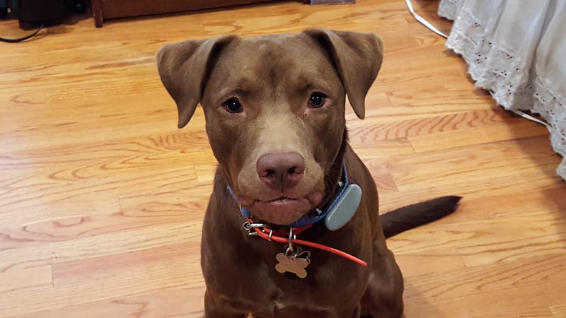 Andrea Strone photo 3