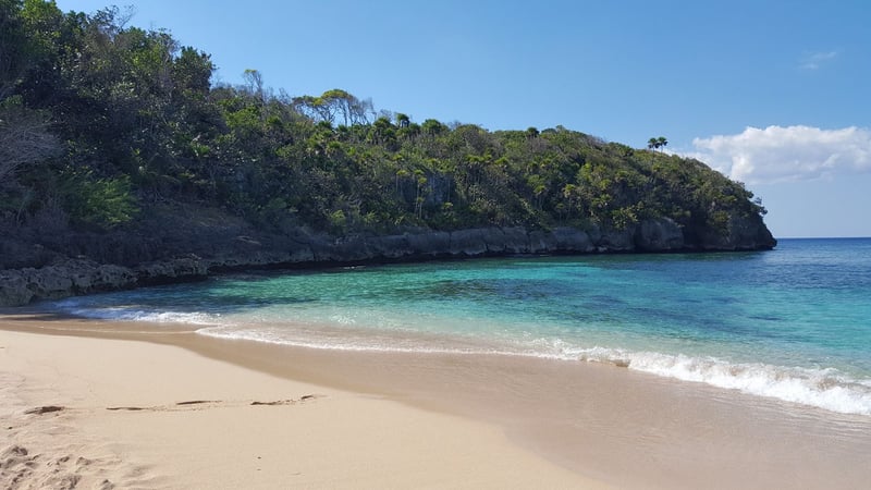 Dana Garitta photo 9