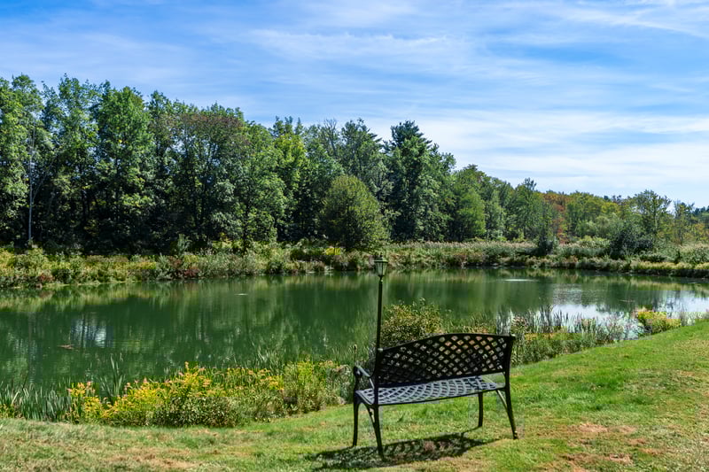 Tranquil pond in private setting for neighborhood to enjoy