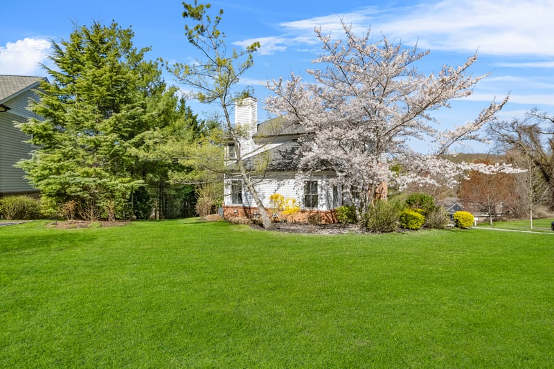 Side Yard