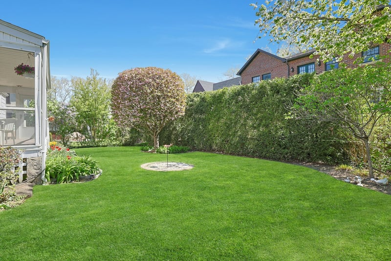 Back yard
