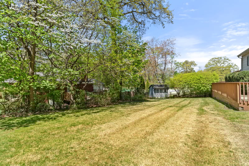 Yard