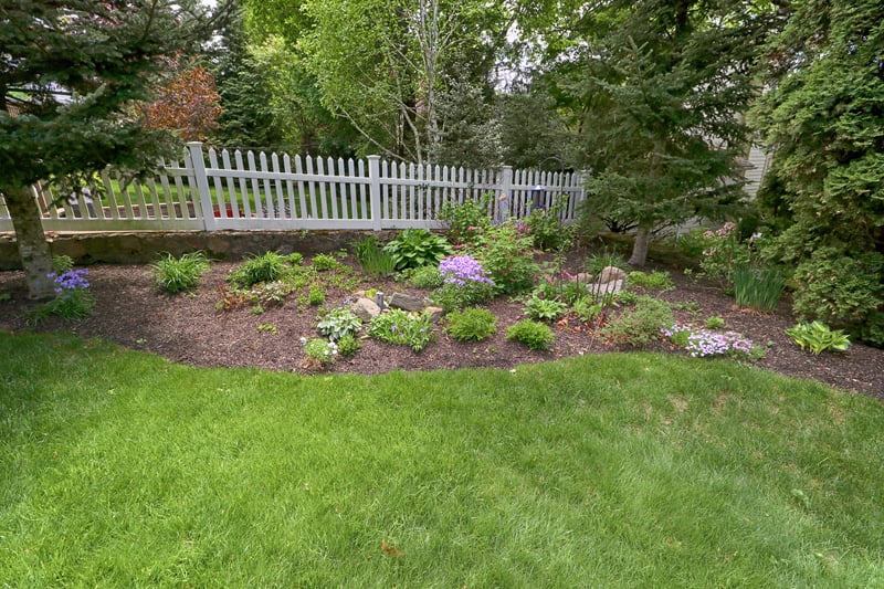 Colorful flower garden.