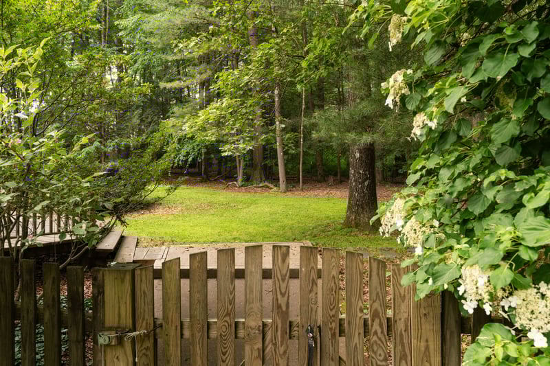 View of grassy yard