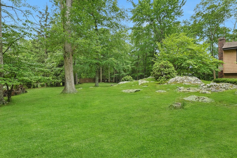 View of green lawn