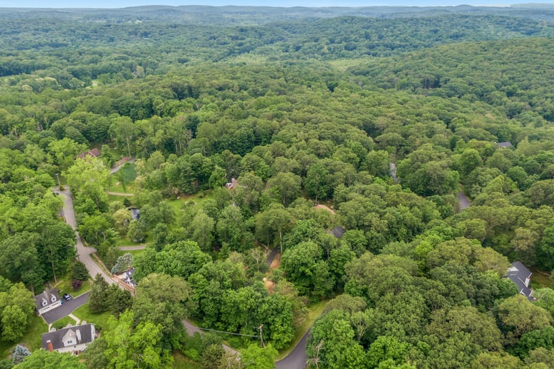 Drone / aerial view of a forest