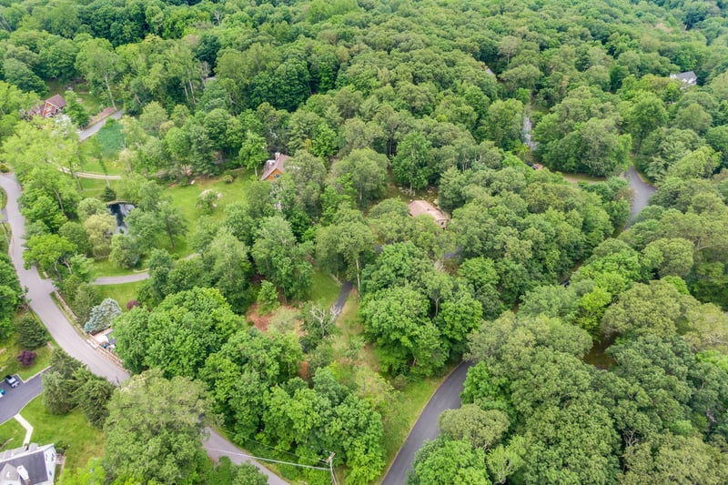 Bird's eye view of a forest