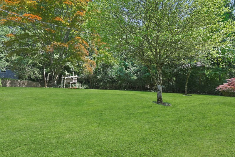 View of green lawn