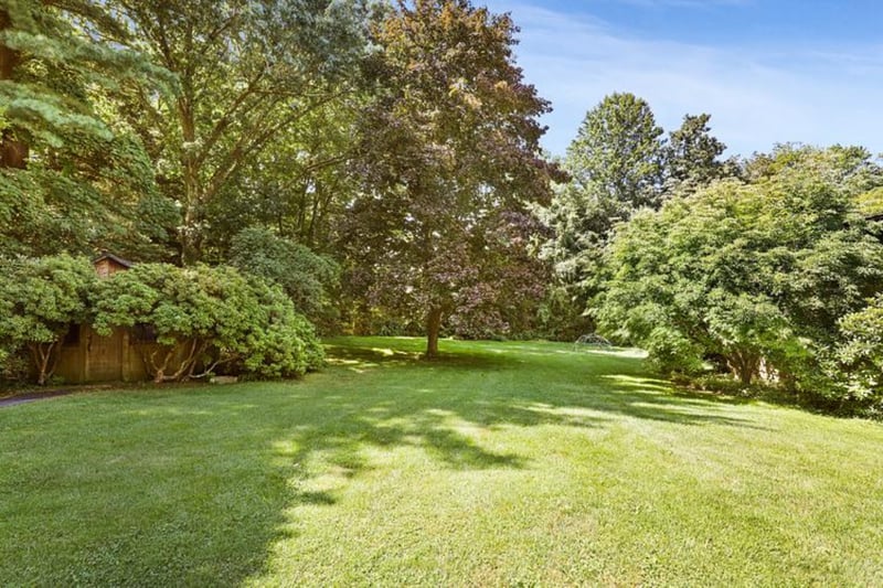 View of green lawn