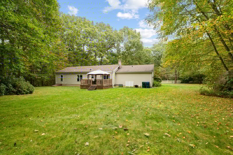 Back yard
