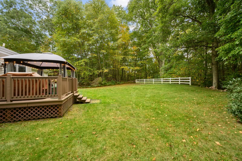 Back yard