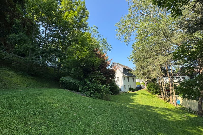 View of grassy yard