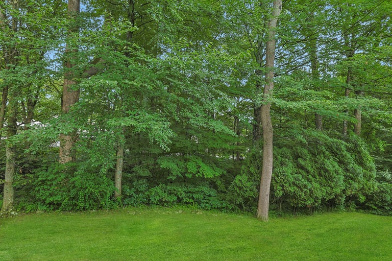View of green lawn with a forest view
