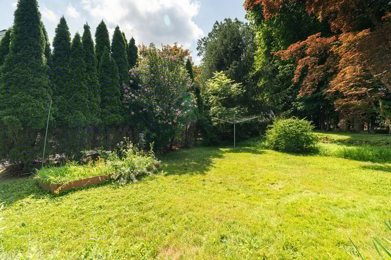 View of green lawn with a garden