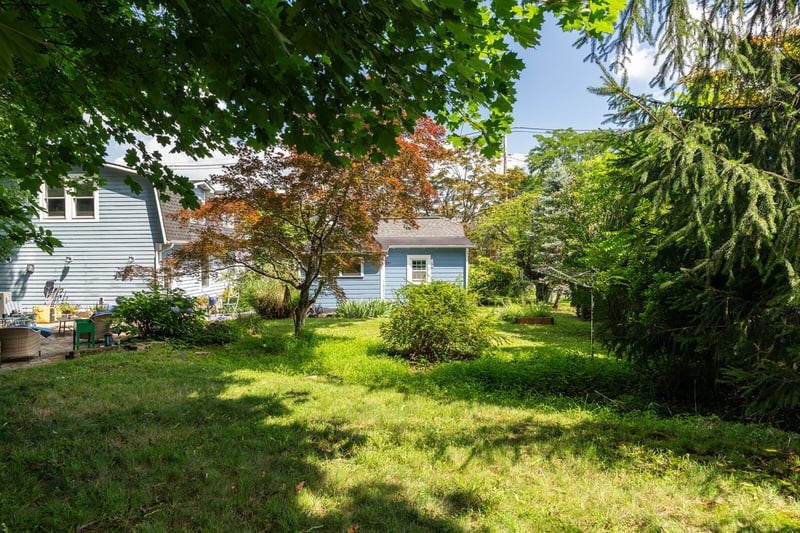 View of grassy yard