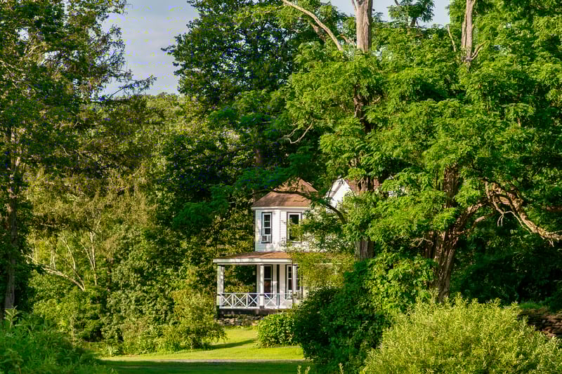 View of yard with a view of trees