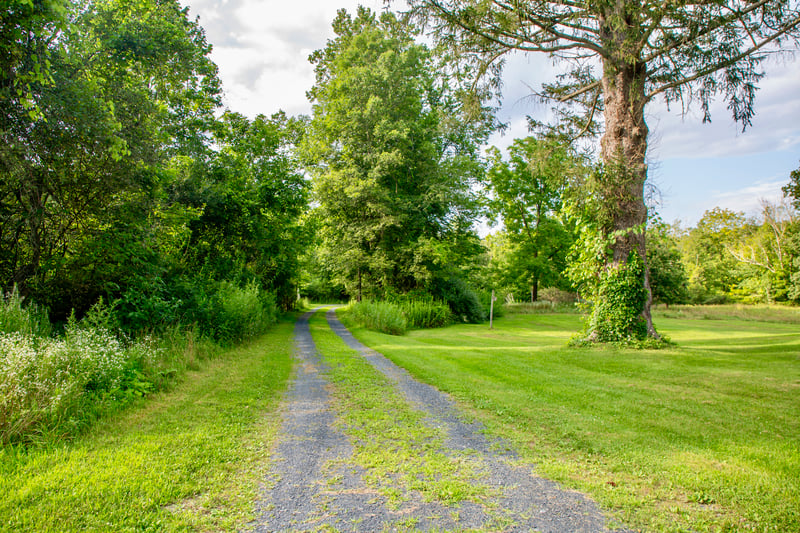 View of road