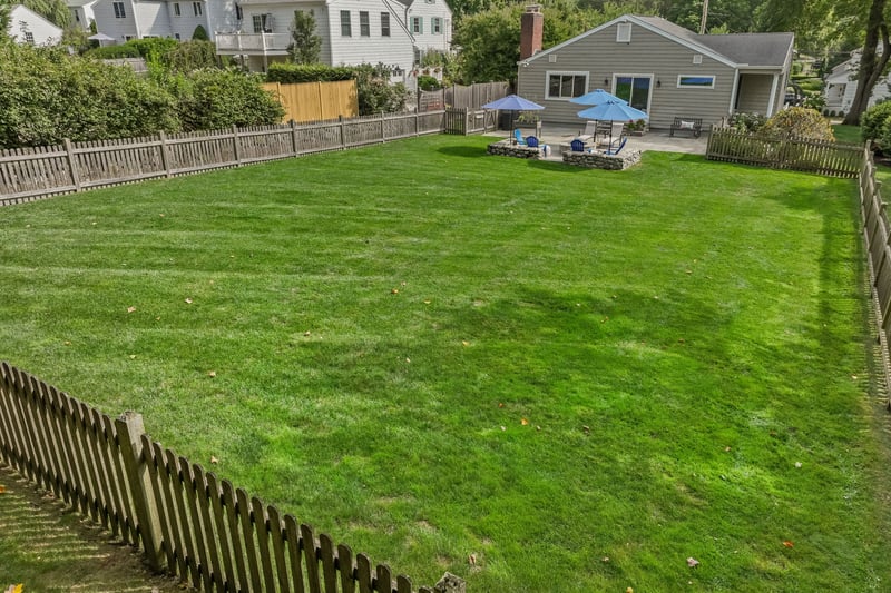 Stunning Backyard!