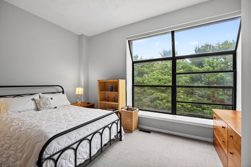 Sun Drenched Primary Bedroom featuring light colored carpet...