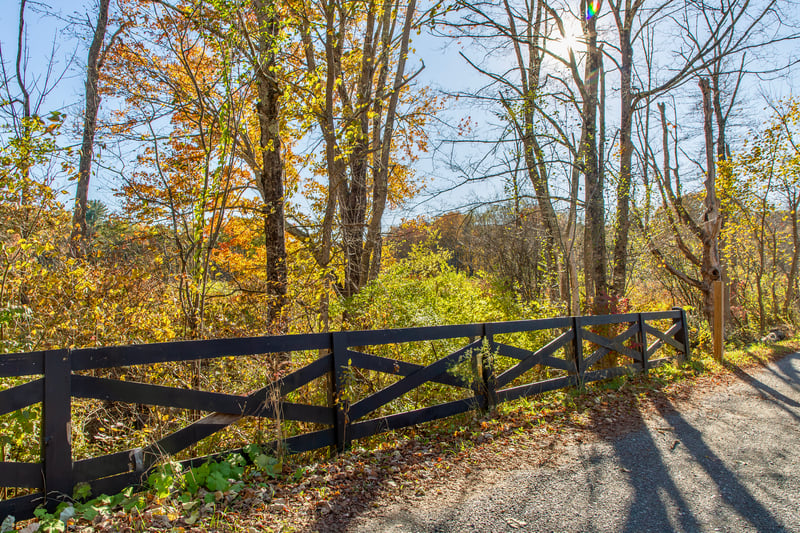 Gate with a wooded view