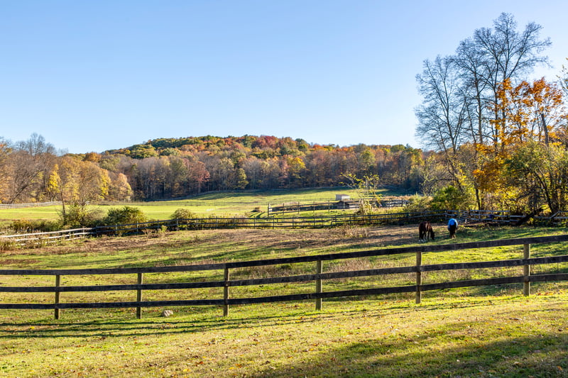 View of yard with a view of countryside and a view of trees