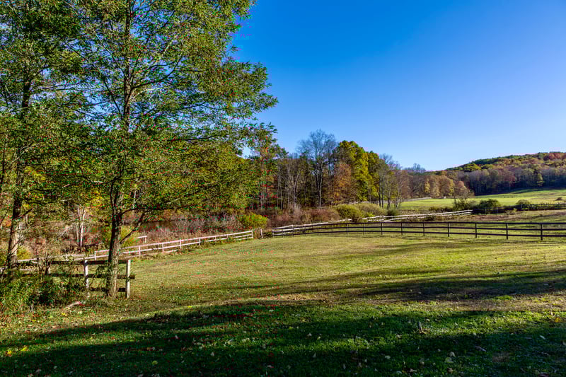 View of yard with a view of countryside and a wooded view