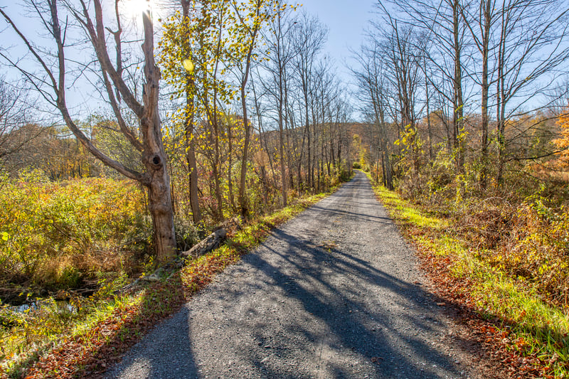 View of road with a view of trees