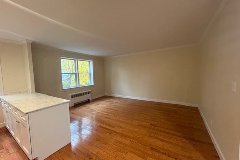 Large living room open to the kitchen