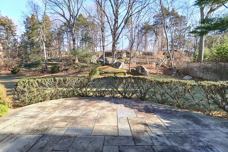 View of patio and backyard.