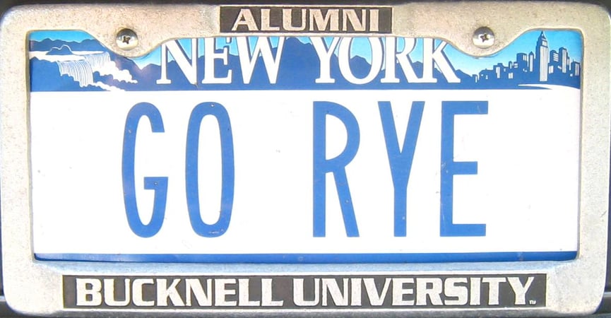 Gail E Feeney photo 3