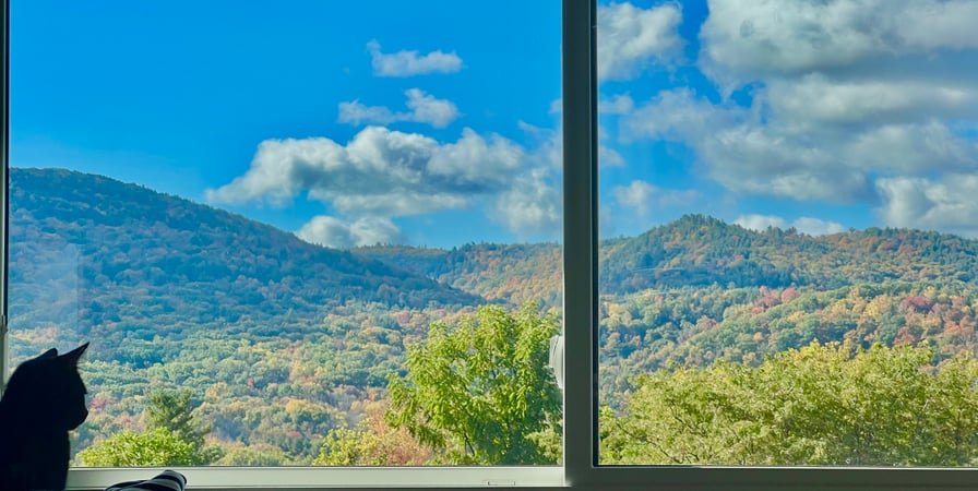 Stephanie McNair photo 7