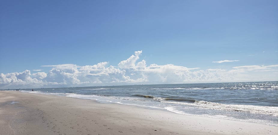 Lisa Grywalski-Bailey photo 3