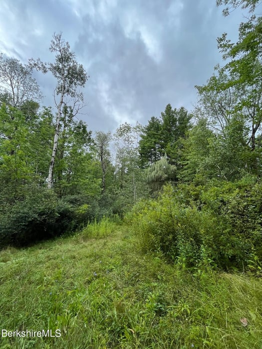331 Shaw Rd Photo 5