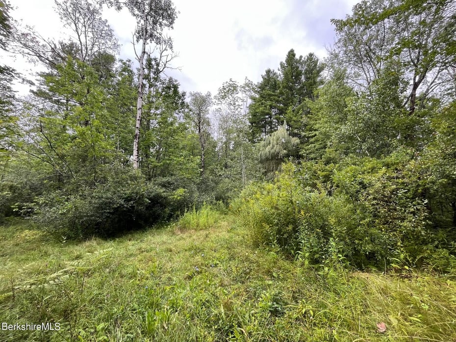 331 Shaw Rd Photo 7