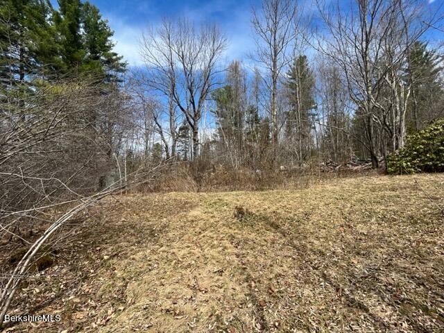 331 Shaw Rd Photo 11