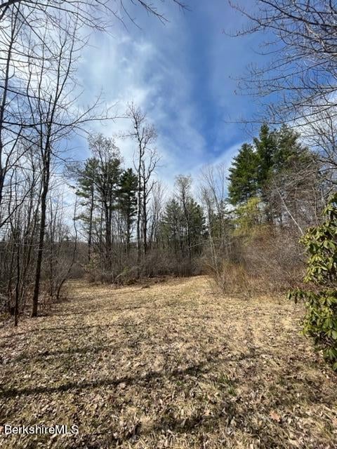 331 Shaw Rd Photo 12
