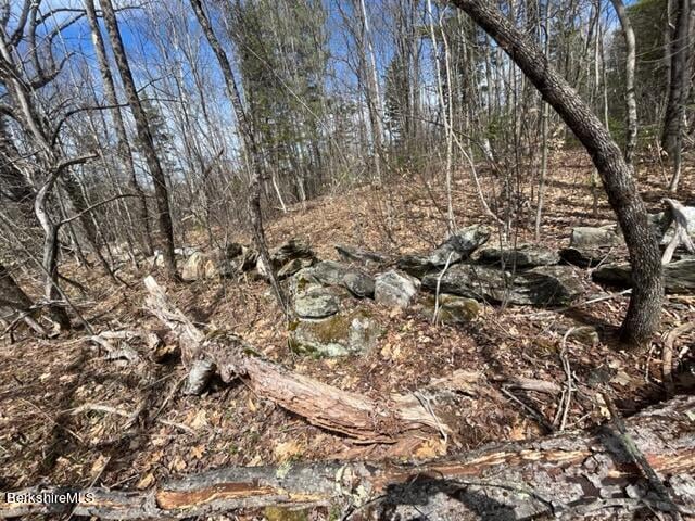 331 Shaw Rd Photo 14