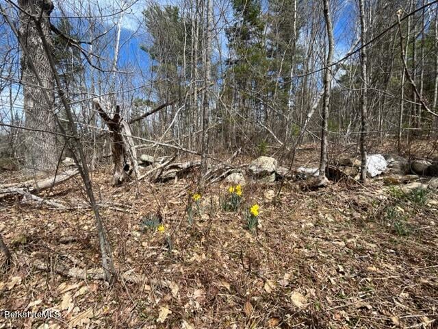 331 Shaw Rd Photo 15