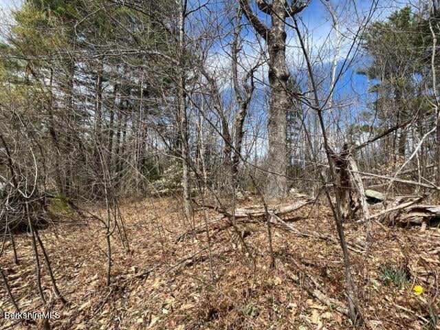 331 Shaw Rd Photo 17