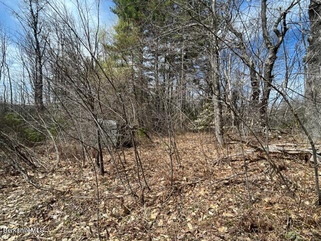 331 Shaw Rd Photo 18