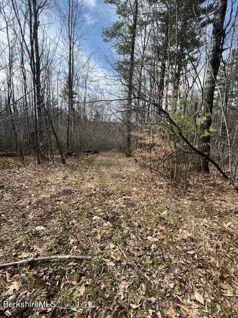 331 Shaw Rd Photo 20